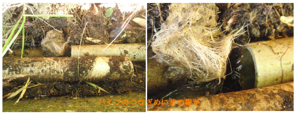 f:id:chuumeikun:20180723204622j:plain f:id:chuumeikun:20180723204622j:plain