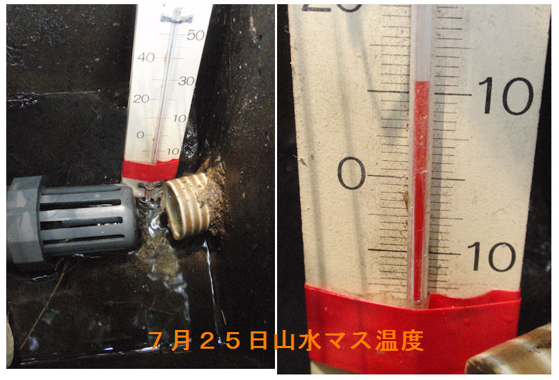 f:id:chuumeikun:20180725215938j:plain f:id:chuumeikun:20180725215938j:plain