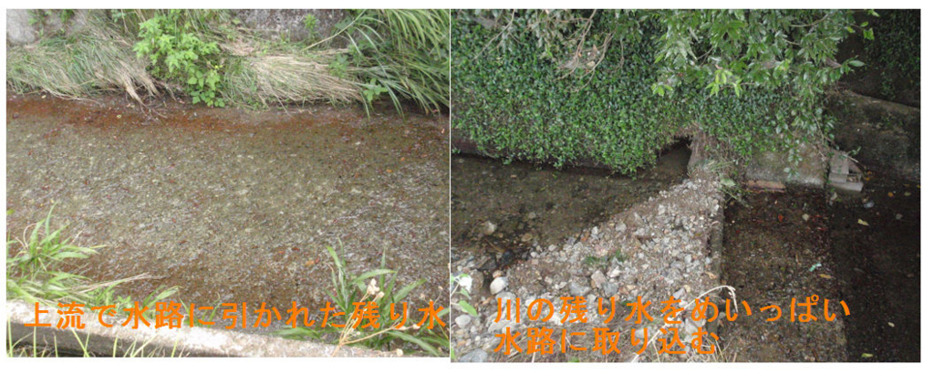 f:id:chuumeikun:20180726205133j:plain f:id:chuumeikun:20180726205133j:plain