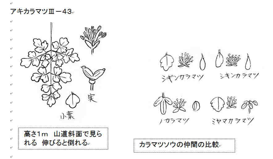 f:id:chuumeikun:20180730223900j:plain