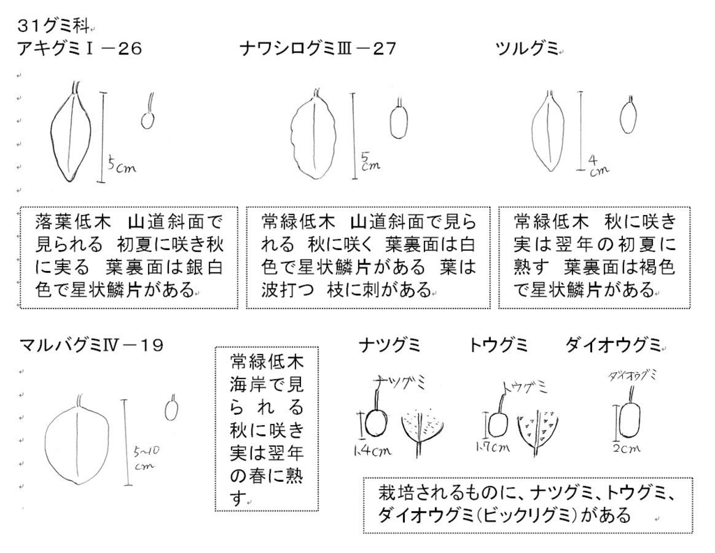 f:id:chuumeikun:20180730224545j:plain