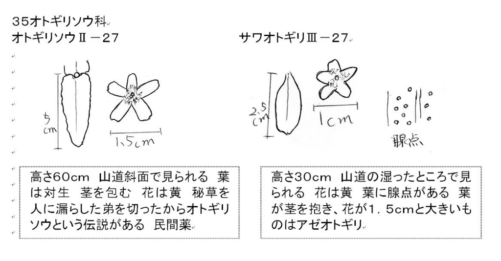 f:id:chuumeikun:20180801002141j:plain f:id:chuumeikun:20180801002141j:plain