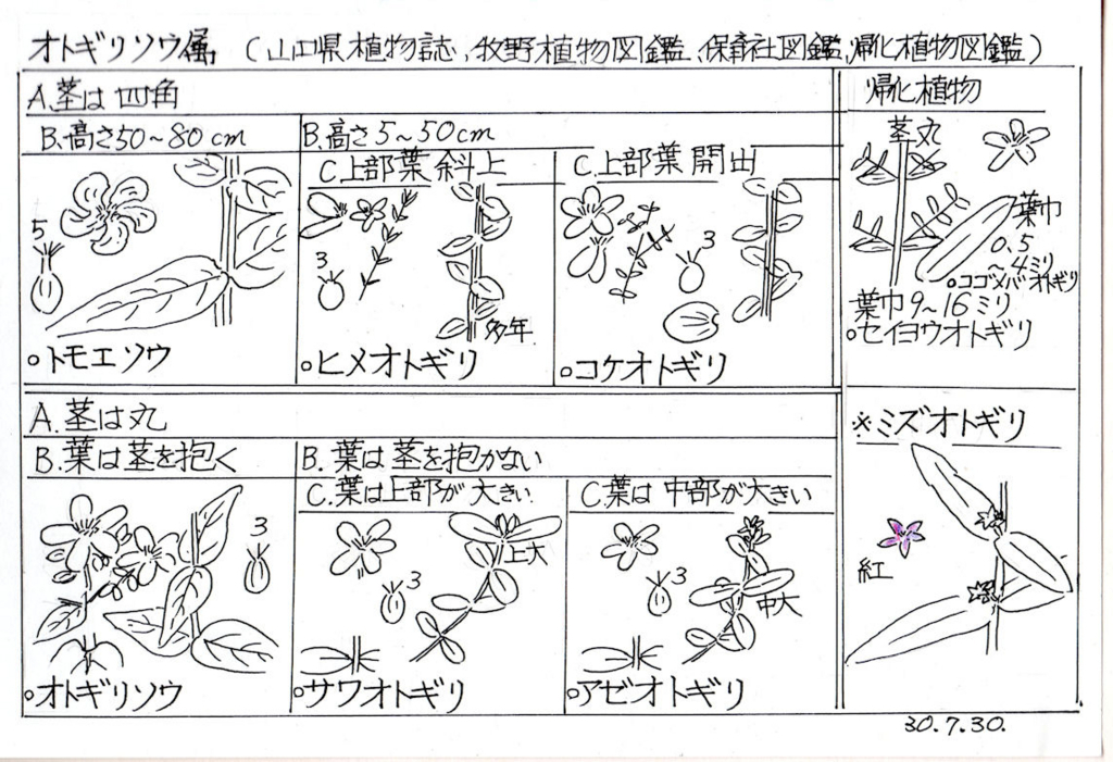 f:id:chuumeikun:20180801002159j:plain f:id:chuumeikun:20180801002159j:plain