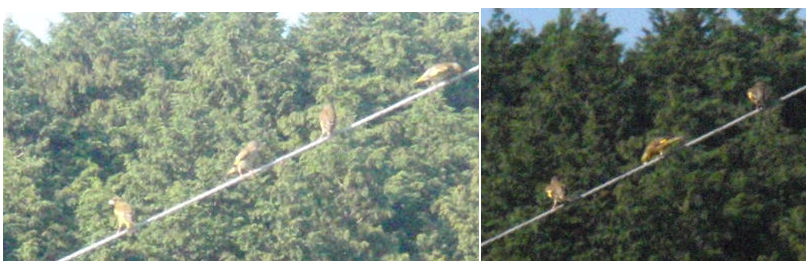 f:id:chuumeikun:20180803063644j:plain