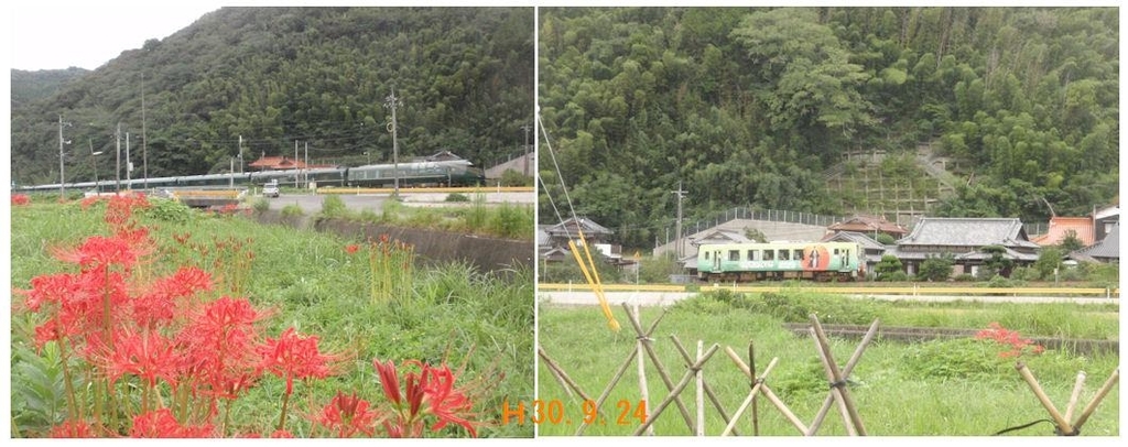 f:id:chuumeikun:20180925003130j:plain f:id:chuumeikun:20180925003130j:plain