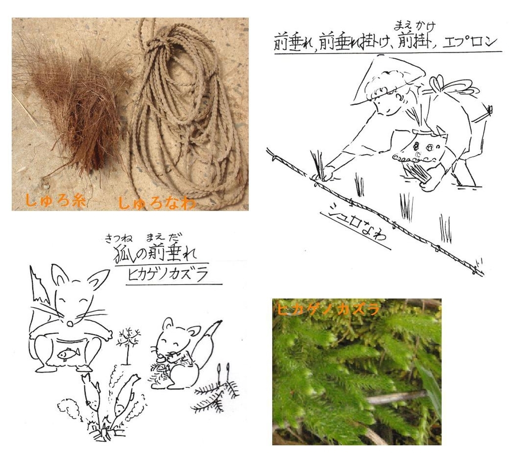 f:id:chuumeikun:20181001163639j:plain