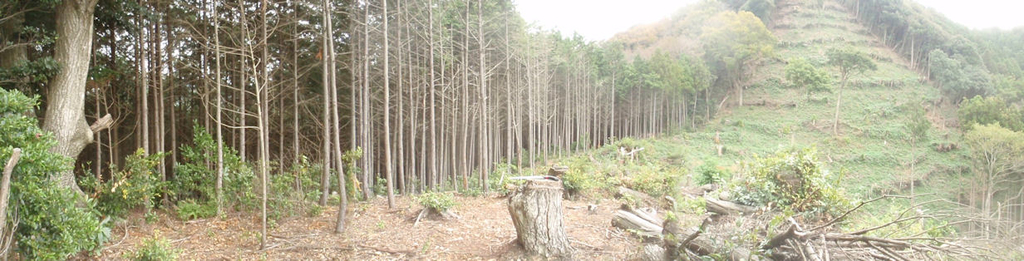 f:id:chuumeikun:20181005084010j:plain f:id:chuumeikun:20181005084010j:plain