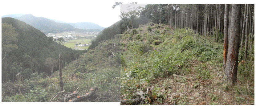 f:id:chuumeikun:20181005084027j:plain f:id:chuumeikun:20181005084027j:plain