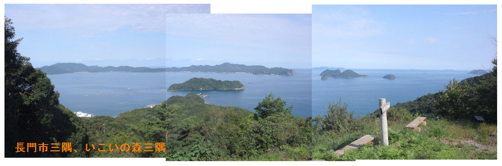 f:id:chuumeikun:20181009211720j:plain