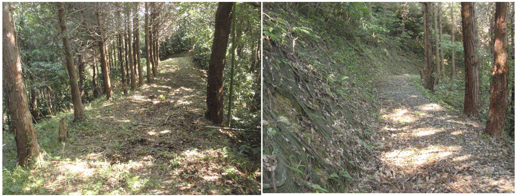 f:id:chuumeikun:20181009212014j:plain