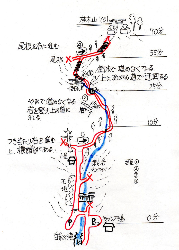f:id:chuumeikun:20181021195130j:plain