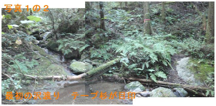 f:id:chuumeikun:20181021195335j:plain