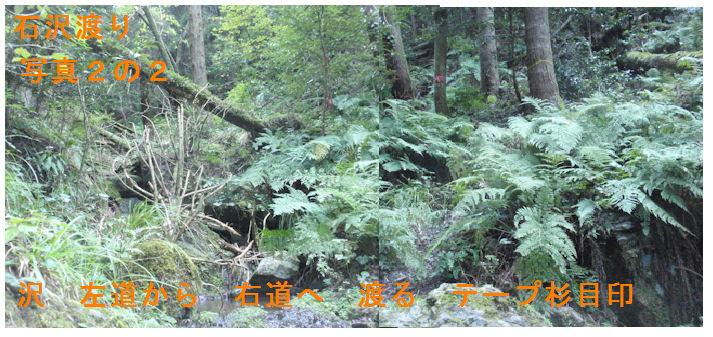 f:id:chuumeikun:20181021195449j:plain