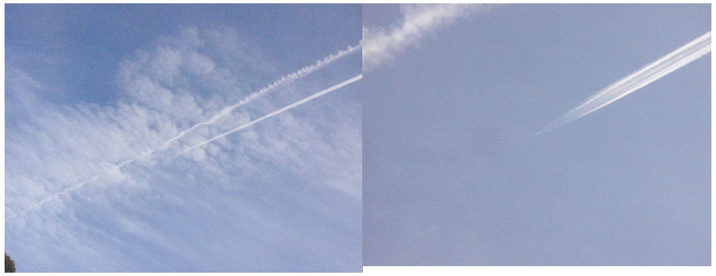 f:id:chuumeikun:20181025081215j:plain f:id:chuumeikun:20181025081215j:plain