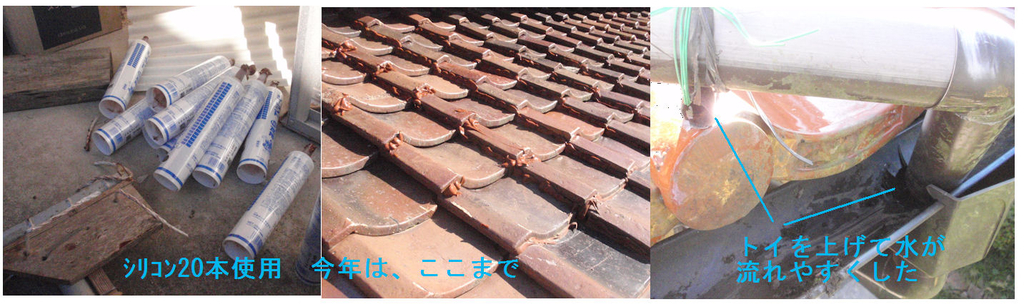 f:id:chuumeikun:20181105020415j:plain