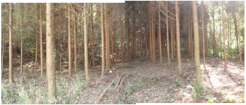 f:id:chuumeikun:20181109220420j:plain f:id:chuumeikun:20181109220420j:plain