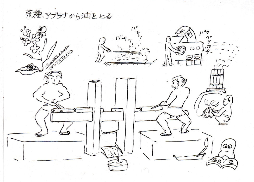 f:id:chuumeikun:20181112161850j:plain