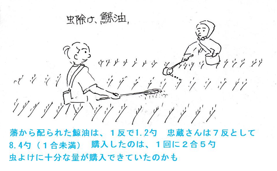 f:id:chuumeikun:20181113213227j:plain f:id:chuumeikun:20181113213227j:plain