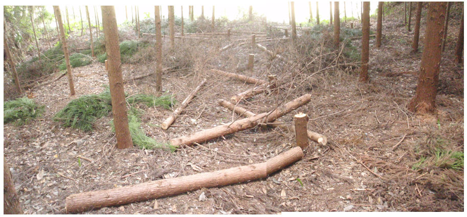 f:id:chuumeikun:20181121133851j:plain