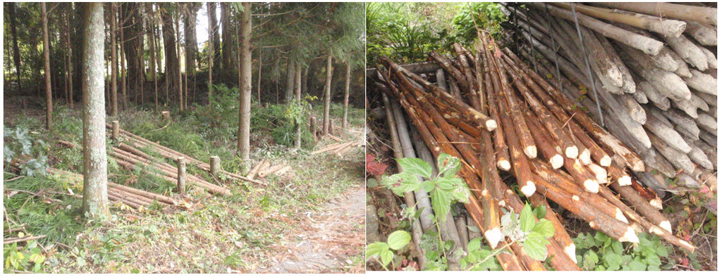 f:id:chuumeikun:20181121133906j:plain