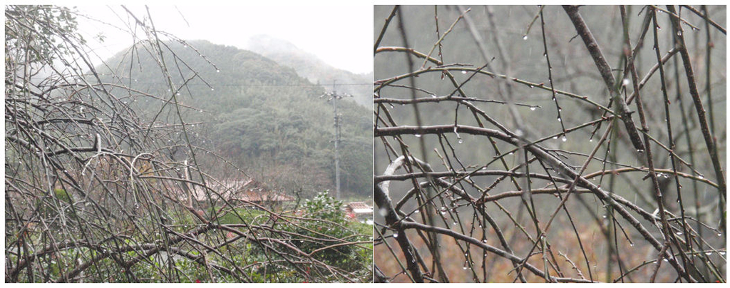 f:id:chuumeikun:20181206185715j:plain f:id:chuumeikun:20181206185715j:plain