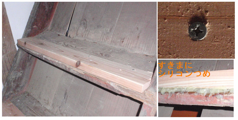 f:id:chuumeikun:20181207160220j:plain f:id:chuumeikun:20181207160220j:plain