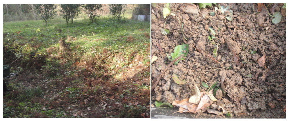 f:id:chuumeikun:20181211084040j:plain f:id:chuumeikun:20181211084040j:plain