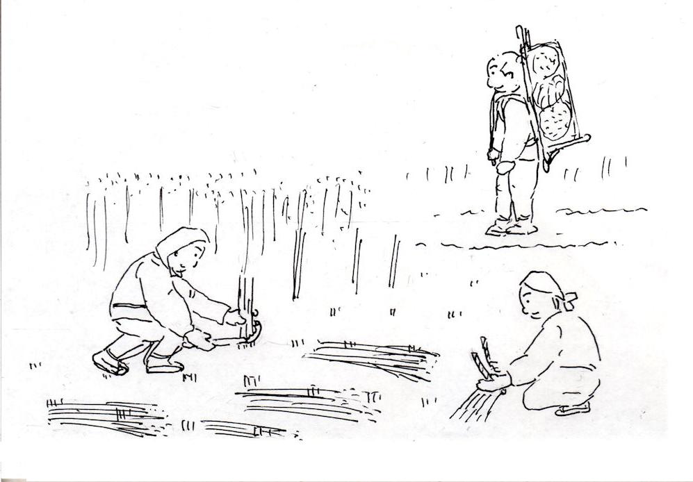 f:id:chuumeikun:20181218190437j:plain f:id:chuumeikun:20181218190437j:plain