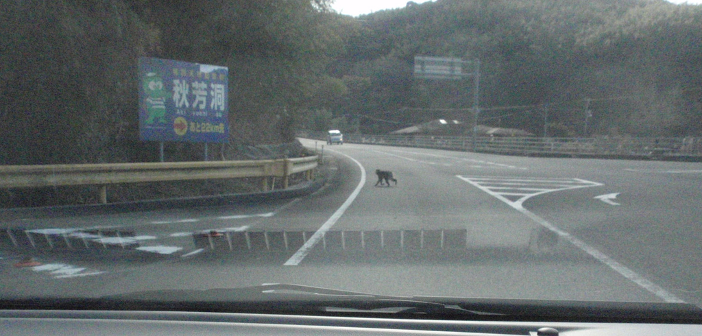 f:id:chuumeikun:20181226132301j:plain f:id:chuumeikun:20181226132301j:plain