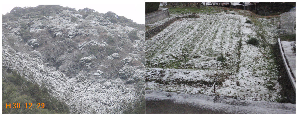 f:id:chuumeikun:20181229091711j:plain f:id:chuumeikun:20181229091711j:plain