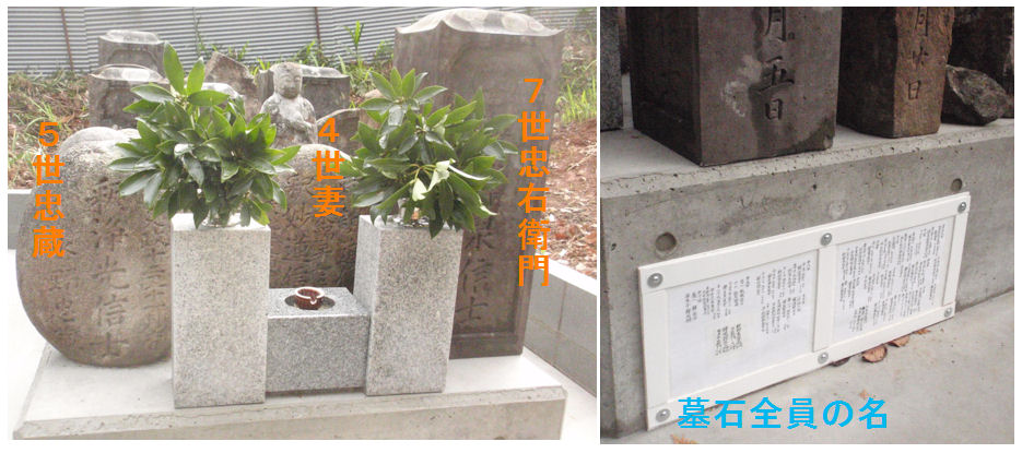 f:id:chuumeikun:20190106185140j:plain