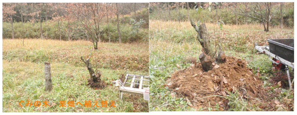 f:id:chuumeikun:20190113020014j:plain