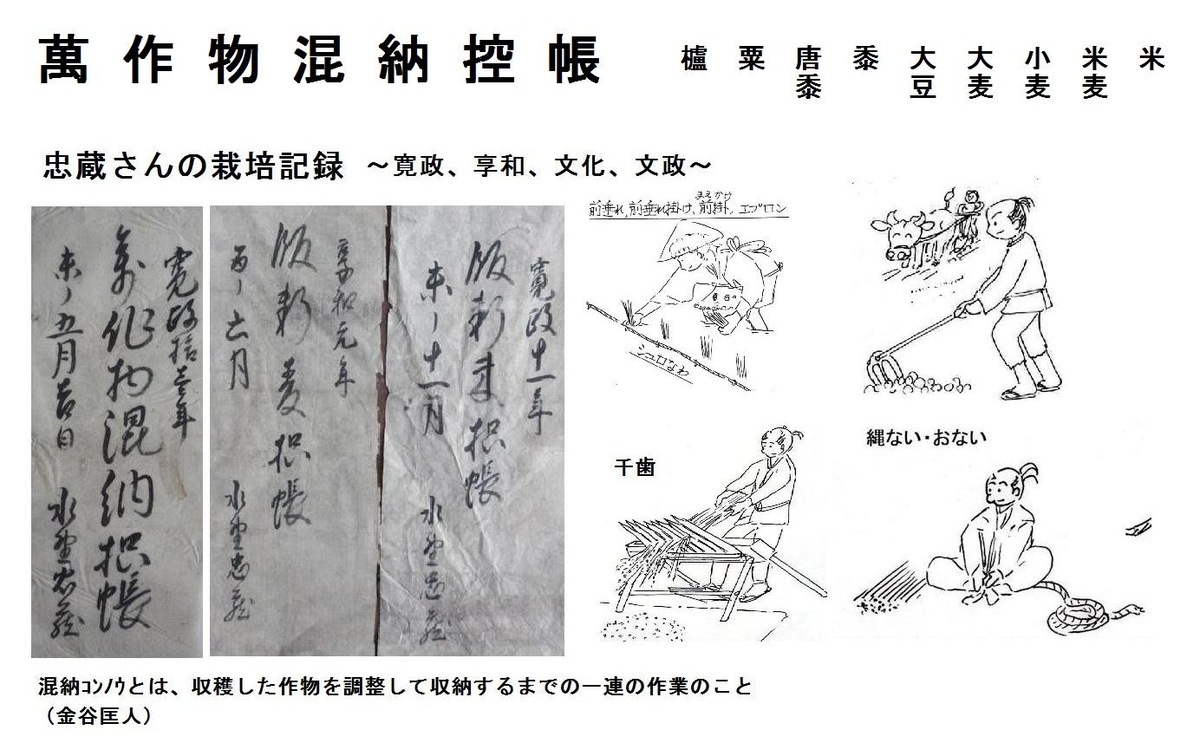 f:id:chuumeikun:20190506050906j:plain