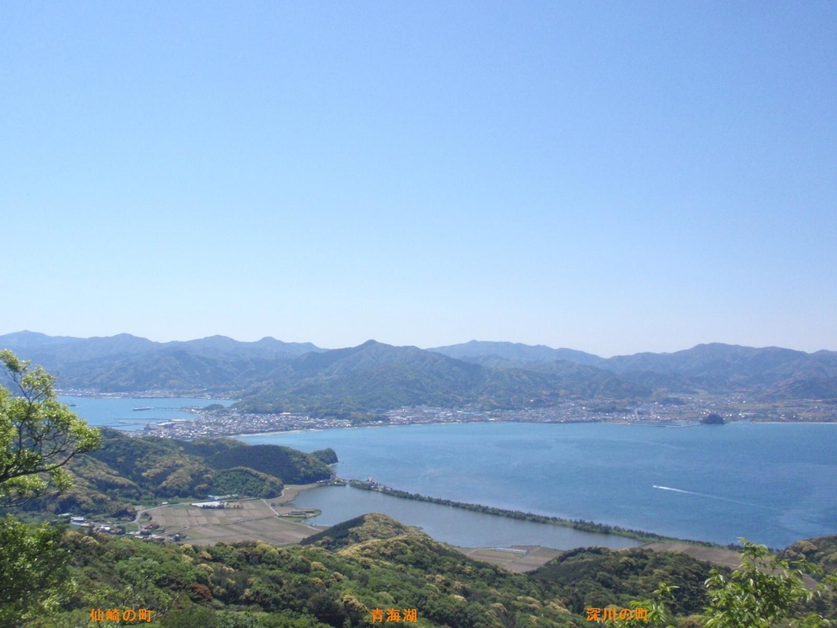 f:id:chuumeikun:20190508003110j:plain