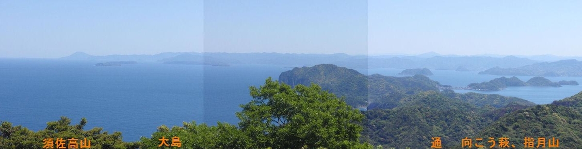 f:id:chuumeikun:20190508003309j:plain