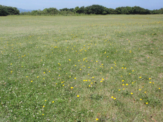 f:id:chuumeikun:20190613182617j:plain f:id:chuumeikun:20190613182617j:plain