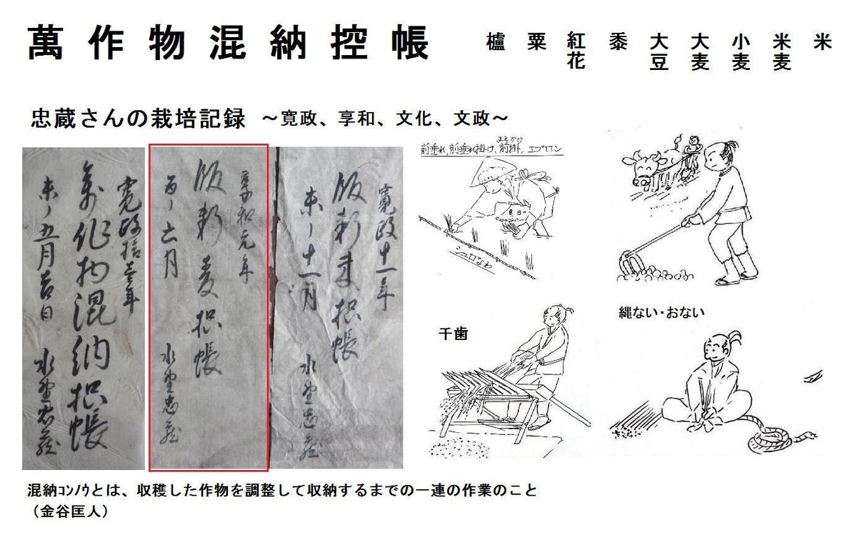 f:id:chuumeikun:20190802015034j:plain f:id:chuumeikun:20190802015034j:plain