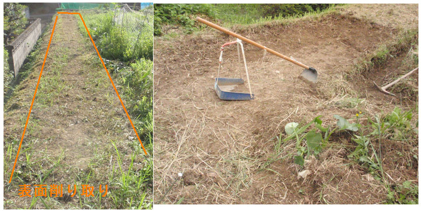 f:id:chuumeikun:20190805184756j:plain