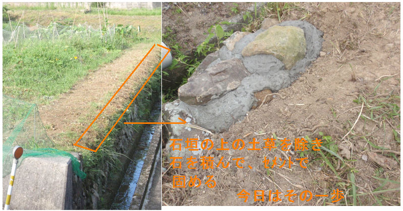 f:id:chuumeikun:20190805184951j:plain