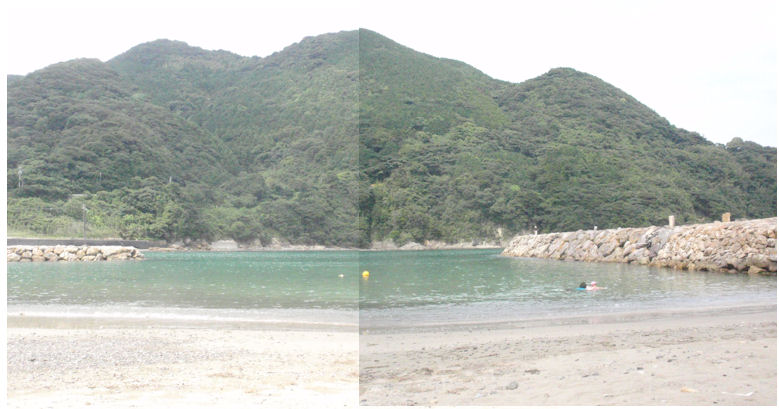 f:id:chuumeikun:20190827074552j:plain