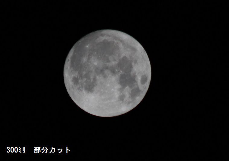 f:id:chuumeikun:20190914012310j:plain