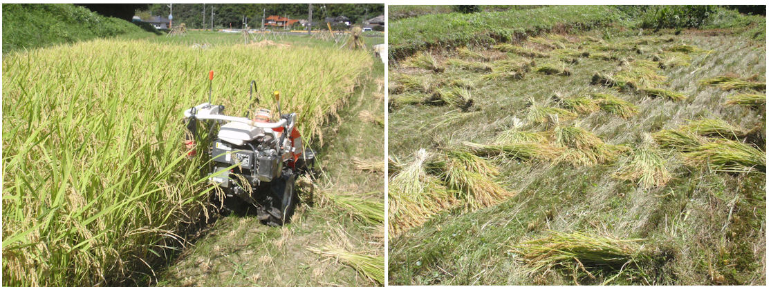 f:id:chuumeikun:20190918001736j:plain