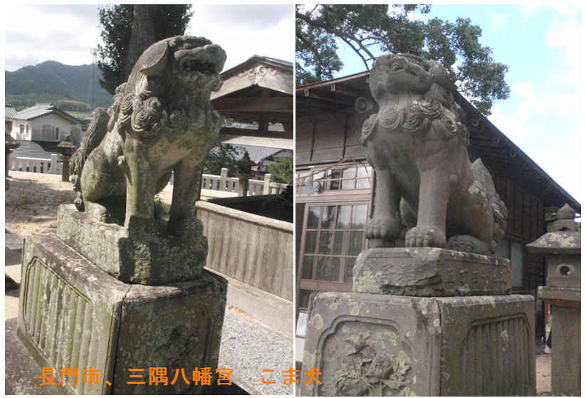 f:id:chuumeikun:20190919014957j:plain