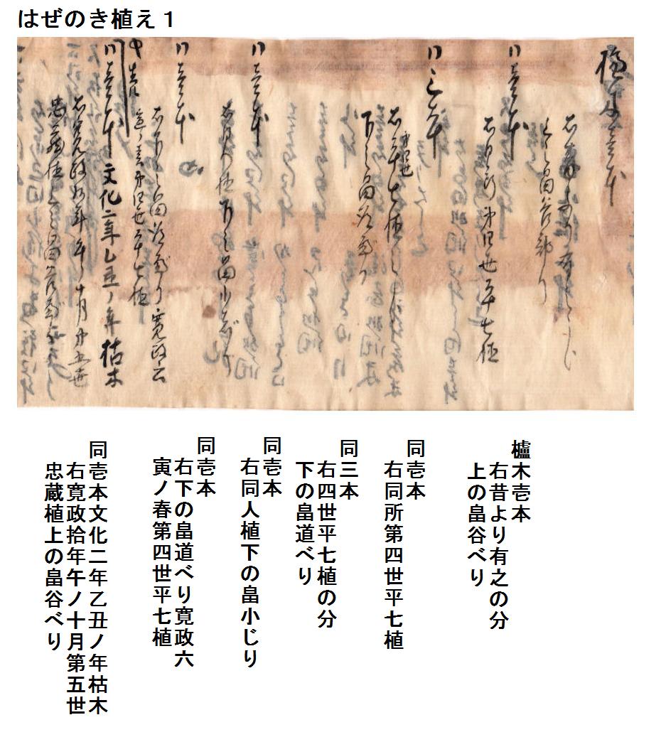 f:id:chuumeikun:20191006084030j:plain f:id:chuumeikun:20191006084030j:plain