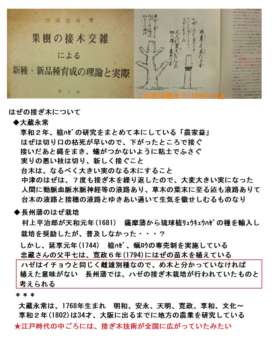 f:id:chuumeikun:20191006084527j:plain f:id:chuumeikun:20191006084527j:plain