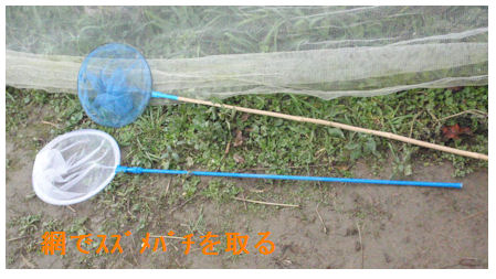 f:id:chuumeikun:20191118190229j:plain f:id:chuumeikun:20191118190229j:plain