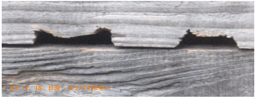 f:id:chuumeikun:20191118190902j:plain f:id:chuumeikun:20191118190902j:plain