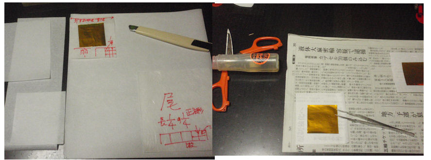 f:id:chuumeikun:20191204234931j:plain