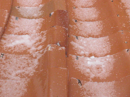 f:id:chuumeikun:20191207194026j:plain f:id:chuumeikun:20191207194026j:plain