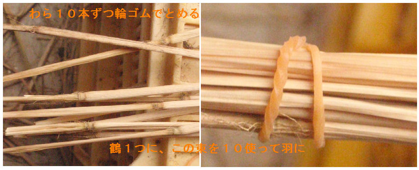 f:id:chuumeikun:20191207194221j:plain f:id:chuumeikun:20191207194221j:plain